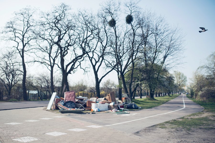 09 elwirak wystawki spring cleaning wysypisko bezdomni