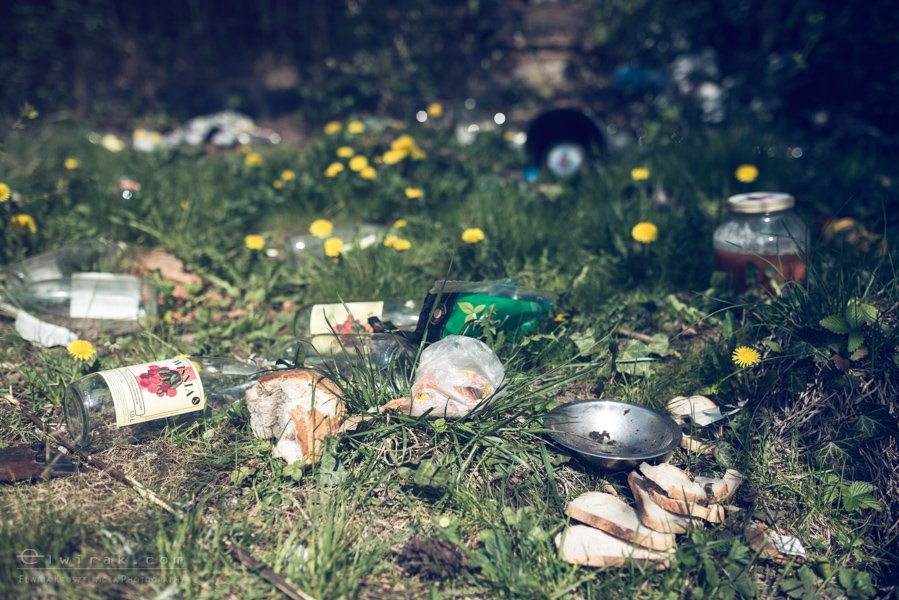 20 elwirak wystawki spring cleaning wysypisko bezdomni