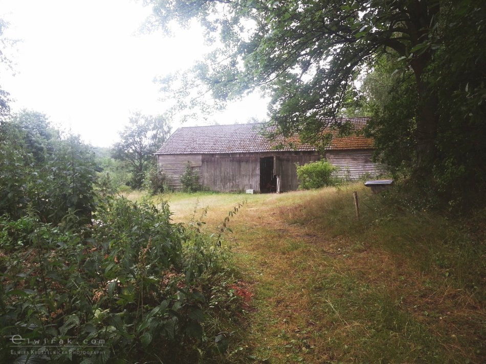 splyw_kajakowy_fotoreportaz_telefon_smartfonem (16)