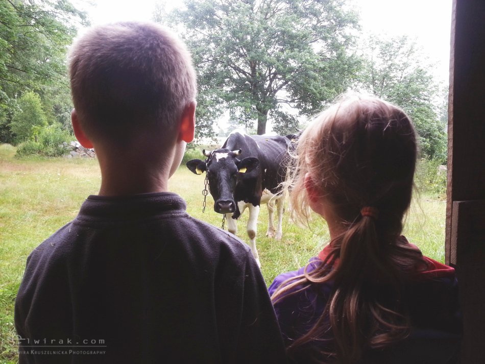 splyw_kajakowy_fotoreportaz_telefon_smartfonem (30)
