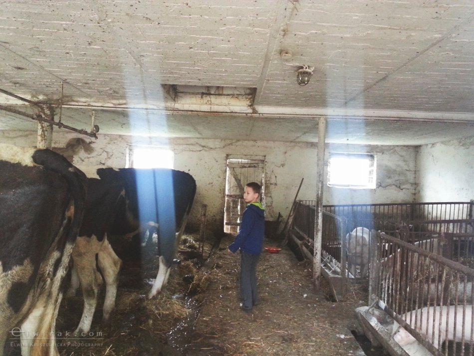 splyw_kajakowy_fotoreportaz_telefon_smartfonem (32)