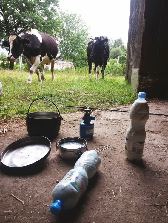 splyw_kajakowy_fotoreportaz_telefon_smartfonem (37)