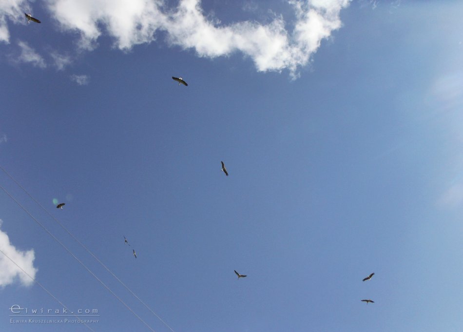 splyw_kajakowy_fotoreportaz_telefon_smartfonem (5)