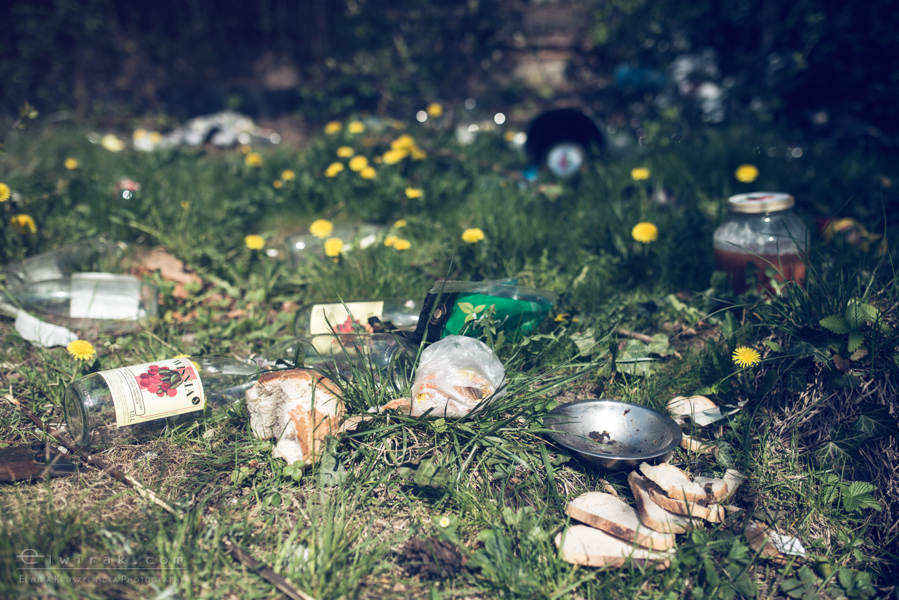 20 elwirak wystawki spring cleaning wysypisko bezdomni