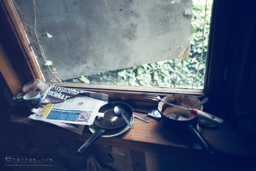 24 elwirak wystawki spring cleaning wysypisko bezdomni