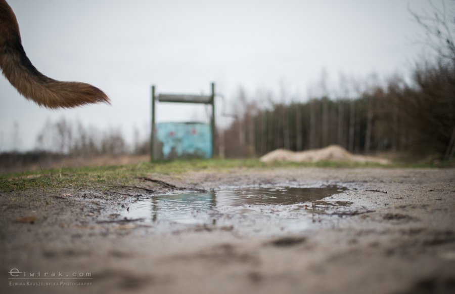 pizza dzieci reportaz story children (38)